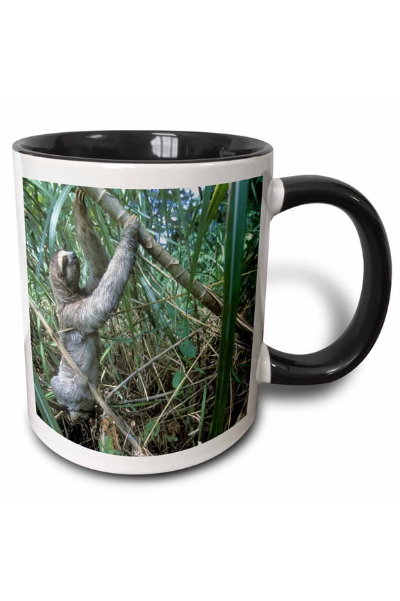 , Panama, Colon Province, Three-toed Sloth Wildlife - Sa15 Pso0002 - Paul Souders, 15oz Two-tone Black Mug