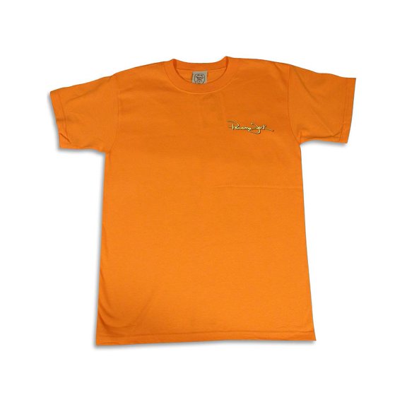 Panama Jack Original Boys Short Sleeve Vintage Prints T-Shirt 25460-Large (Orange Lizard)