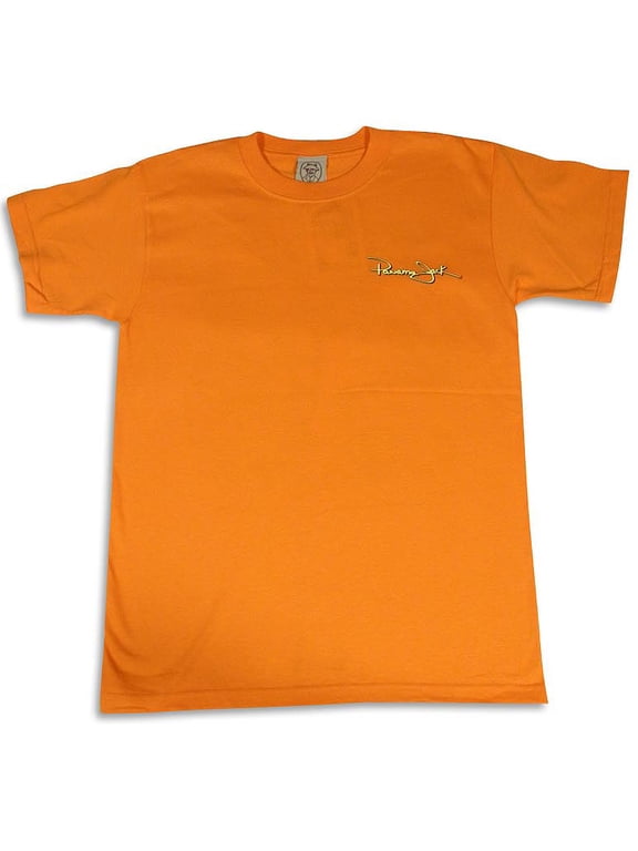 Original Boys Short Sleeve Vintage Prints T-Shirt 25460-Large (Orange Lizard)