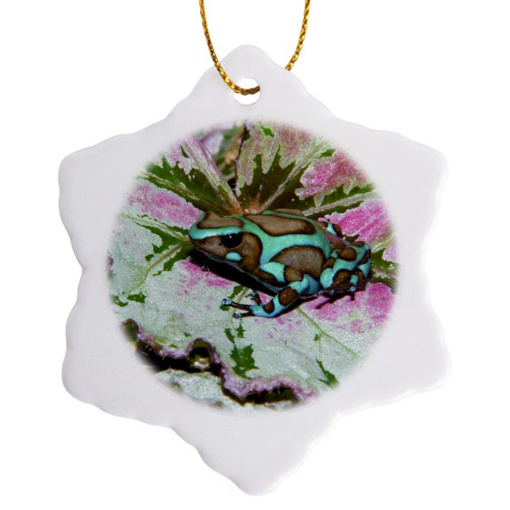 Panama. Poison Dart Frog On Red Leaf - Sa15 Bja0014 - Jaynes Gallery, 3 inch Snowflake Porcelain Ornament