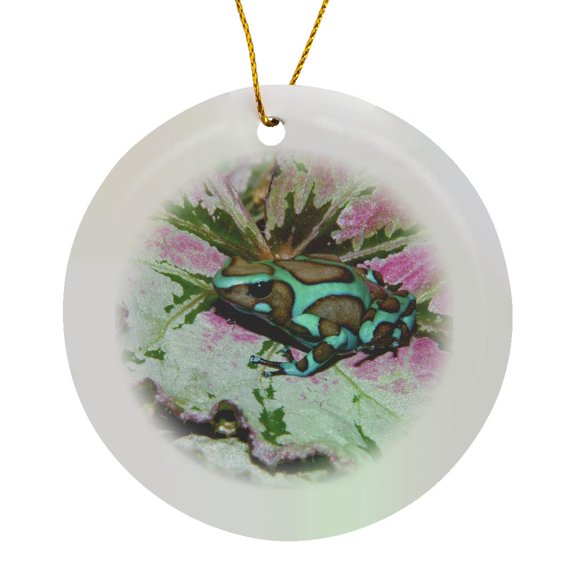 Panama. Poison Dart Frog On Red Leaf - Sa15 Bja0014 - Jaynes Gallery, Circle Porcelain Ornament