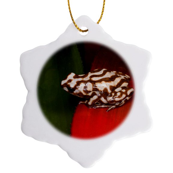 3drose, Panama. Poison Dart Frog on Red Leaf - Sa15 Bja0015 - Jaynes Gallery, 3 inch Snowflake Porcelain Ornament