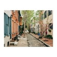 thumbnail image 1 of Panama Street, Philadelphia 02 - Philadelphia Pennsylvania Photography Architecture Street Photography City Floral Scenic Unframed Wall Art Print 22 x 28 inches, 1 of 4