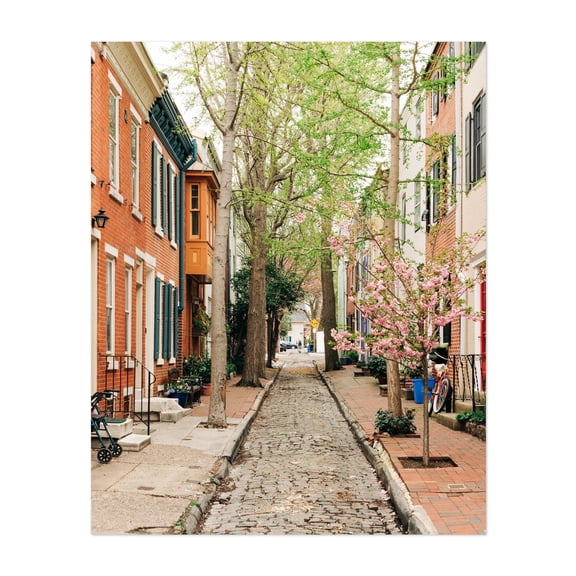 Panama Street, Philadelphia 03 - Philadelphia Pennsylvania Photography Unframed Wall Art Print 30 x 40 inches