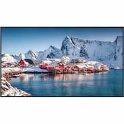 Panasonic 65-inch Class 4K UHD LCD Display th-65sqe2w