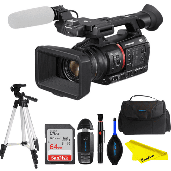 Panasonic AG-CX350 4K Camcorder - BuzzPhoto Pro Bundle