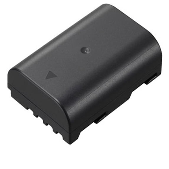 Panasonic DMW-BLF19 7.2V 1860mAh Rechargeable Lithium-Ion Battery