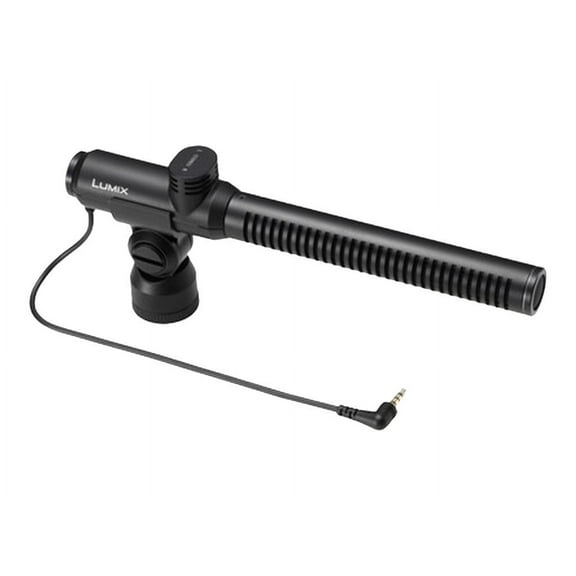 Gun & Stereo Mic