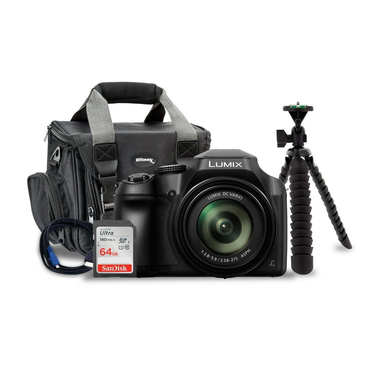 Panasonic LUMIX FZ80 18.1MP 4K Point and Shoot Camera with