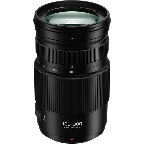 Panasonic LUMIX G Vario 100-300mm f/4.0-5.6 II Lens for Micro Four Thirds