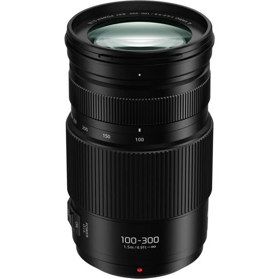 Panasonic LUMIX G Vario 100-300mm f/4.0-5.6 II Lens for Micro Four Thirds
