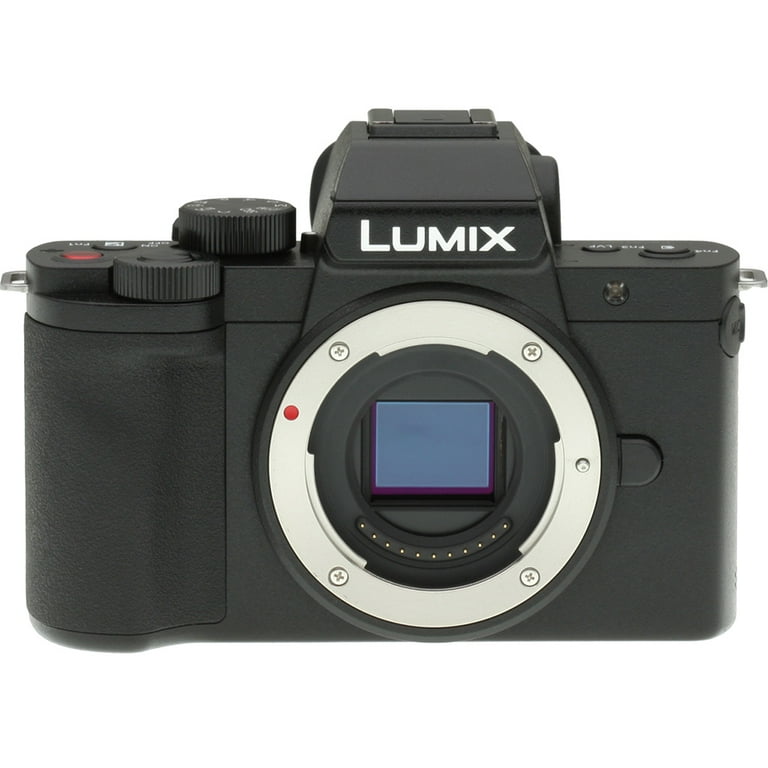 Panasonic LUMIX G100 4k Mirrorless Camera DC-G100 (Black) (Kit Box) 