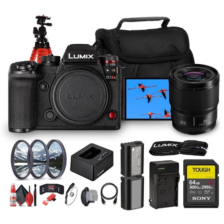 Panasonic LUMIX S1 IIE Mirrorless Camera | 24.2MP Full-Frame BSI Sensor, 6K Video, Dual I.S. 2, Phase Hybrid AF, 30fps Burst, L-Mount Body (DC-S1M2ESBODY) + Lumix S 35mm Lens + Battery + More