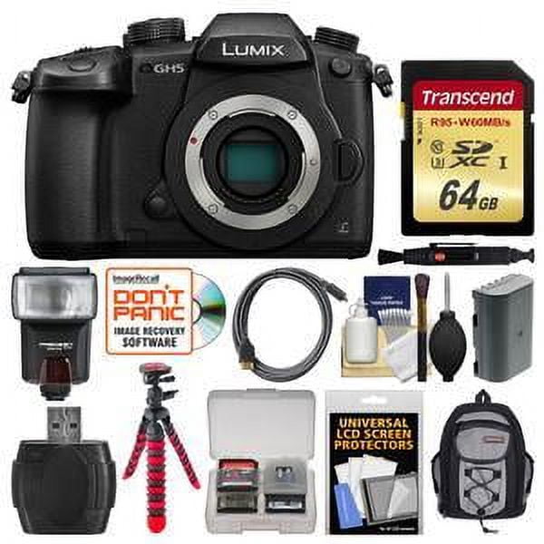 LUMIX GH5 一眼 本体とバッテリー LUMIX GH5 一眼 本体とバッテリー