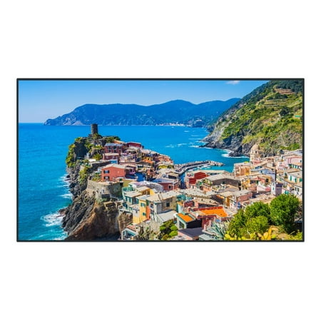 Panasonic TH-50EQ2W 50" Class 4K Digital Display