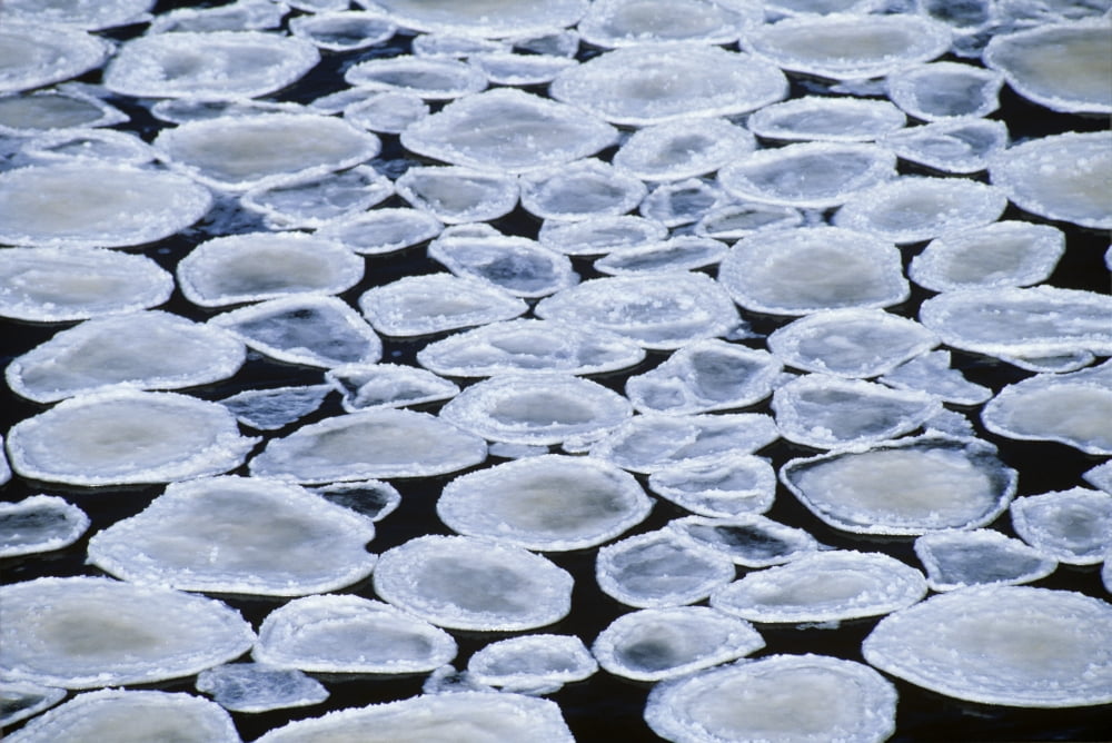 Pancake Ice On Whiteshell River Whiteshell Provincial Park Manitoba Canvas Art - Mike Grandmaison Design Pics (18 x 12)