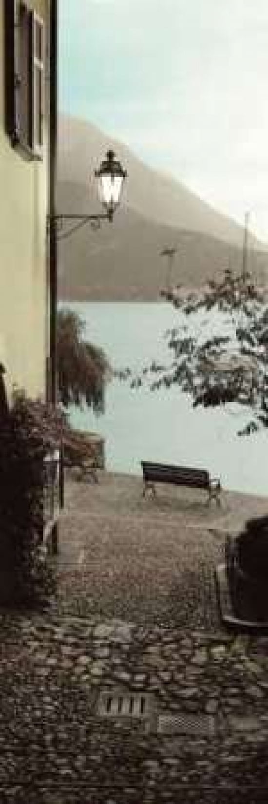 Panchina di Lago Canvas Art - Alan Blaustein (8 x 24)