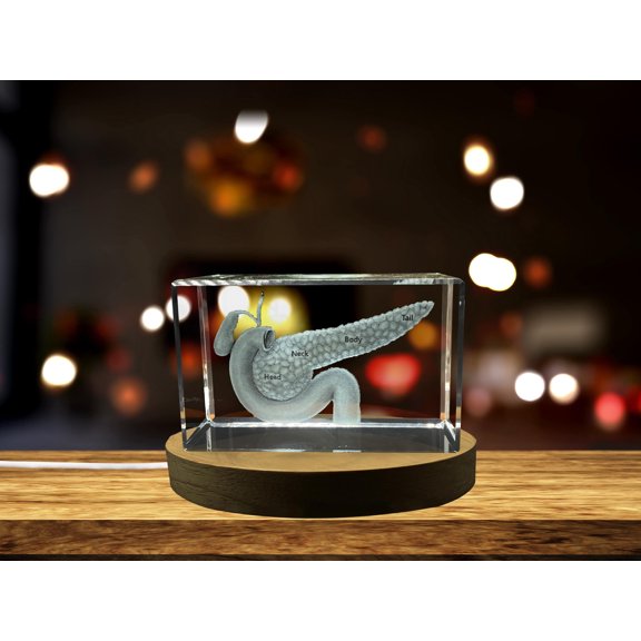 Pancreas Art | 3D Engraved Crystal Keepsake | Gift/Decor| Collectible| Clear | AB Crystal Collection