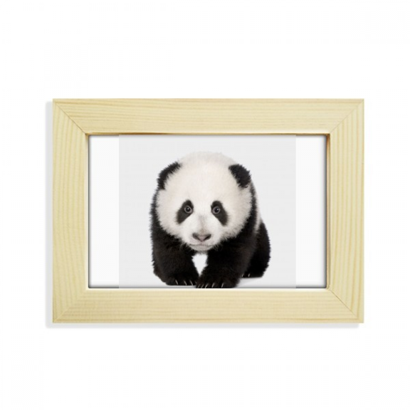 Panda Baby Walk Eyes Art Deco Fashion Desktop Decorate Photo Frame Picture Art Painting 5x7 inch