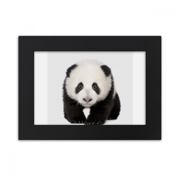 Panda Baby Walk Eyes Art Deco Fashion Desktop Photo Frame Ornaments Picture Art Painting