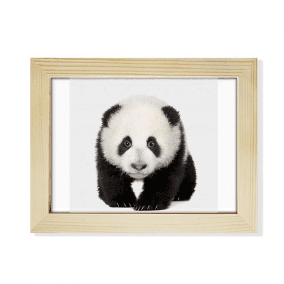 Panda Baby Walk Eyes Art Deco Fashion Desktop Photo Frame Picture Art Decoration Painting 6x8 inch