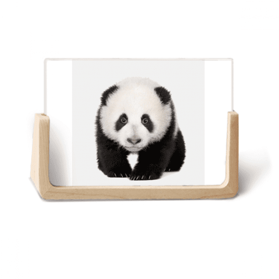 Panda Baby Walk Eyes Art Deco Fashion Photo Wooden Photo Frame Tabletop Display