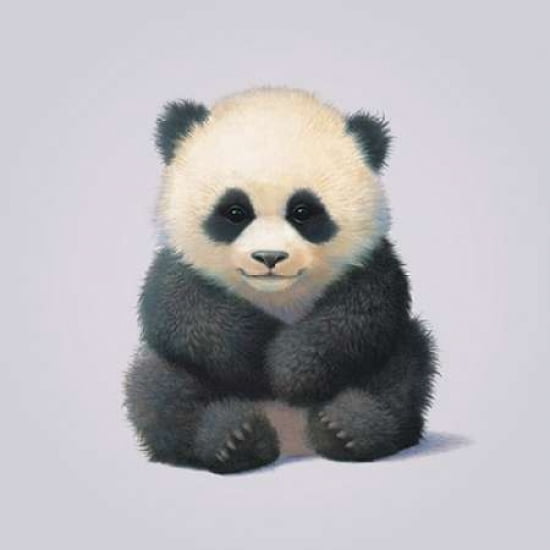 Panda Canvas Art - John Butler (24 x 24)