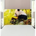 thumbnail image 1 of Panda Headboard, Big Panda Sitting Forest Eating Bamboo Tree Trunk Foliage Wilderness Picture Print, Upholstered Decorative Metal Bed Headboard with Memory Foam, Twin Size, Green Black, by Ambesonne, 1 of 4