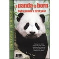 thumbnail image 1 of Panda Is Born / Baby Panda's First Year (Double Feature) (Full Frame), 1 of 1