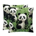 thumbnail image 1 of Panda Luxurious Velvet Pillow of 2,for Bed Pillow Covers and Throw Pillows - Available in 16x16, 18x18, and 20x20 Inches with Unique Patterns for Various Occasions, 1 of 6