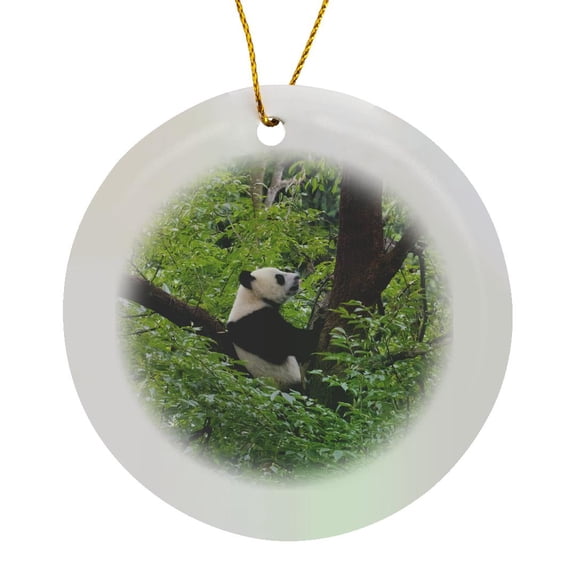 3drose, Panda on Tree, Panda Reserve, Yaan, Sichuan, China, Circle Porcelain Ornament