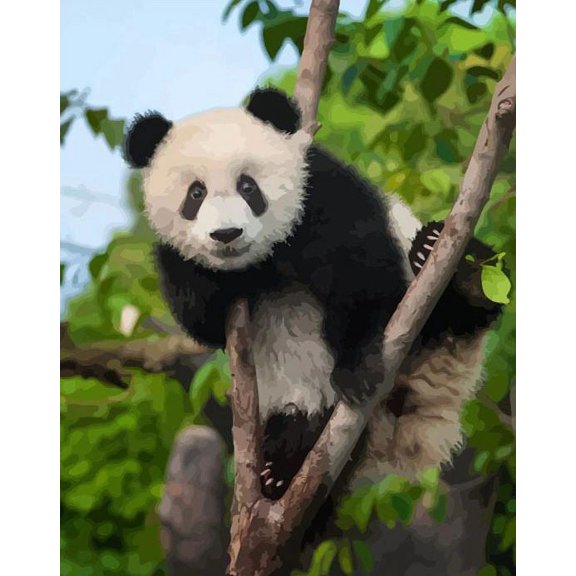 Panda Paint by Numbers