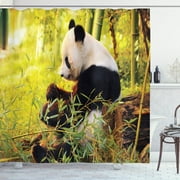 Panda Paradise: Forest Print Shower Curtain for Your Wild Bathroom