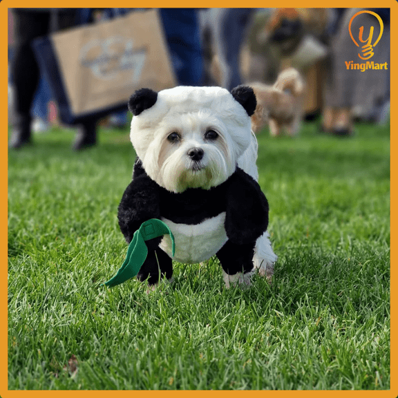 Panda Pet Costume Dress Up Clothes for Dogs Cats Halloween Cosplay YingMart Outfit (Panda, L)