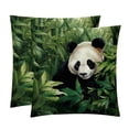 thumbnail image 1 of Panda Set of 2 Velvet Throw Pillow Covers Inserts with 16x16, 18x18, 20x20 Inches Chair Pillow Covers - Unique Patterns for Throw Pillows for Various Occasions, 1 of 6