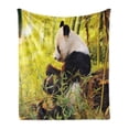 thumbnail image 1 of Panda Soft Flannel Fleece Blanket, Big Panda Sitting Forest Eating Bamboo Tree Trunk Foliage Wilderness Picture Print, Cozy Plush for Indoor and Outdoor Use, 50" x 60", Green Black, by Ambesonne, 1 of 5