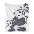 thumbnail image 1 of Panda Soft Flannel Fleece Blanket, Giant Panda Bear Sitting in Zoo Traditional Chinese Painting Monochrome Picture, Cozy Plush for Indoor and Outdoor Use, 50" x 70", Cadet Blue White, by Ambesonne, 1 of 5