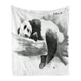 thumbnail image 1 of Panda Soft Flannel Fleece Throw Blanket, Panda Lying on a Tree Branch Classic Watercolor Painting Style Artwork Print, Cozy Plush for Indoor and Outdoor Use, 50" x 60", Black White, by Ambesonne, 1 of 5
