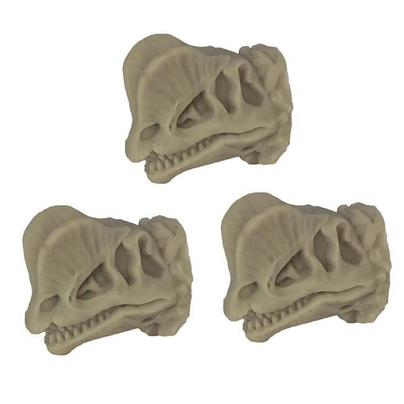 Skeleton Drawers Panda Superstore 1.6 x 1.2 x 1.6 in. Simulation Dinosaur Skeleton ...