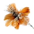thumbnail image 1 of Panda Superstore PS-PET2975303011-JENNY01125 CFA Matches Cat Sports Appliance Pheasant Tail Feathers Cat Toy, Brown, 1 of 1