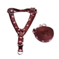 thumbnail image 1 of Panda Superstore PS-PET2975339011-ALIEN00804 Cartoon Teddy Dogs Leash Collar, Coffee - Medium, 1 of 1
