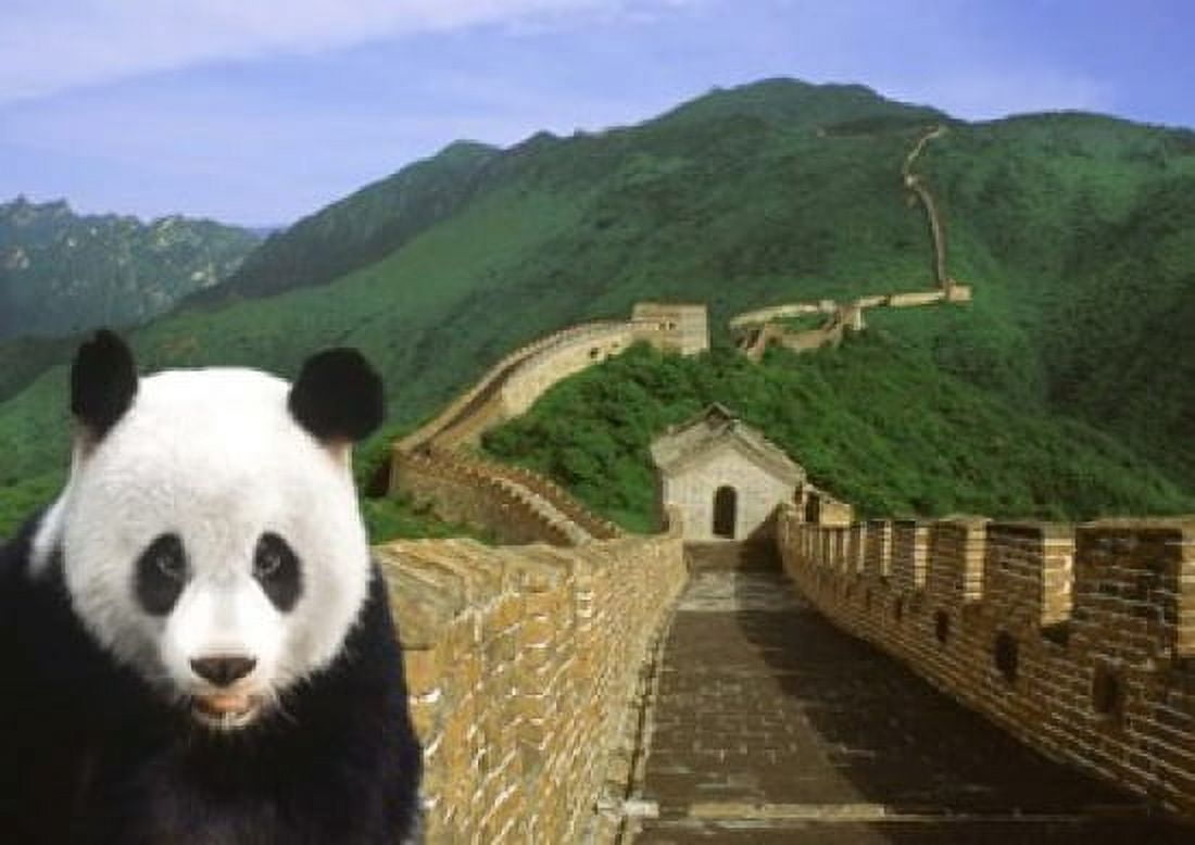 Panda at the Great Wall of China Canvas Art - Bill Bachmann DanitaDelimont (24 x 17)