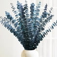thumbnail image 1 of PandaTop 20 PCS Dried Eucalyptus Stems -17'' Real Preserved Fresh Eucalyptus Plant,Shower Eucalyptus Hanging,Eucalyptus Plant for Arrangement, Wedding, Home Décor,Shower ,Blue, 1 of 8