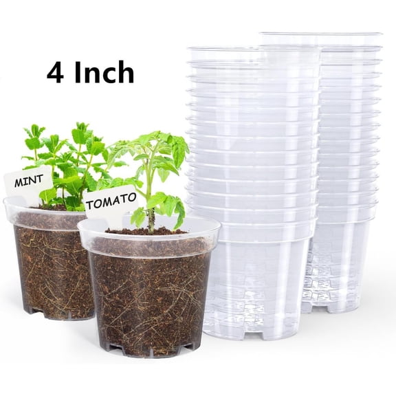 PandaTop Clear Nursery Pots 4 Inch Plastic Planter with Drainage Holes, Small Plastic Flower Pots for Seedling (30 Pcs)