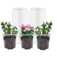 thumbnail image 1 of PandaTop Clear Nursery Pots with Drainage Holes, Clear Plant Pot for Planting, Transparent Plastic Plant Pots,Plastic Flower Pots for Succulents(30 Pcs,4 Inch), 1 of 9