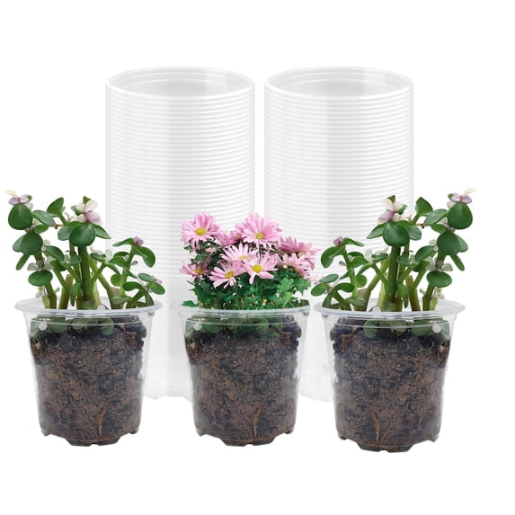 PandaTop Clear Nursery Pots with Drainage Holes, Clear Plant Pot for Planting, Transparent Plastic Plant Pots,Plastic Flower Pots for Succulents(30 Pcs,4 Inch)