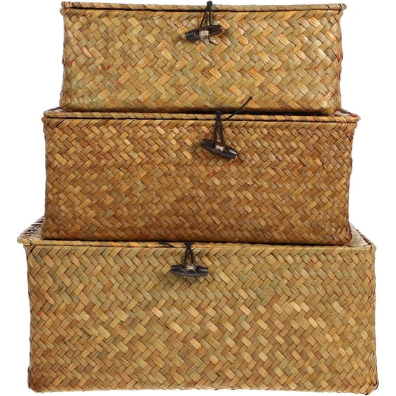 PandaTop Wicker Storage Baskets with Lids, Set of 3 Rattan Storage ...