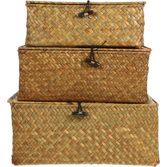 PandaTop Wicker Storage Baskets with Lids, Set of 3 Rattan Storage Baskets for Organizing, Woven Large Rectangular Basket Boxes, Basket with Lid , Decorative Chest Organizer,Natural Desktop Basket