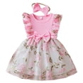 thumbnail image 1 of Pandaie 9-18M Baby Girl Clothes Newborn Infant Dress Outfit Ruffle Sleeveless Lace Floral Skirt Set with Cute Bow Headband Pink 18M(18-24 Months), 1 of 6
