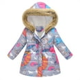 thumbnail image 1 of Pandaie Girl's Winter Coat Jacket Toddler Fleece Lined Hooded Down Puffy Outwear Kids Zipper Cute Snow Clothes with Pockets Grey 3-4T, 1 of 3